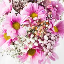 Flower image